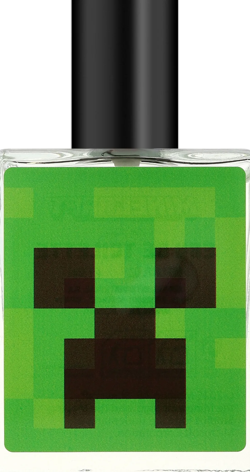 Air-Val International Minecraft