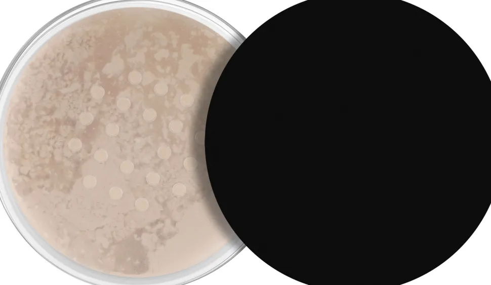 Anastasia Beverly Hills Loose Setting Powder