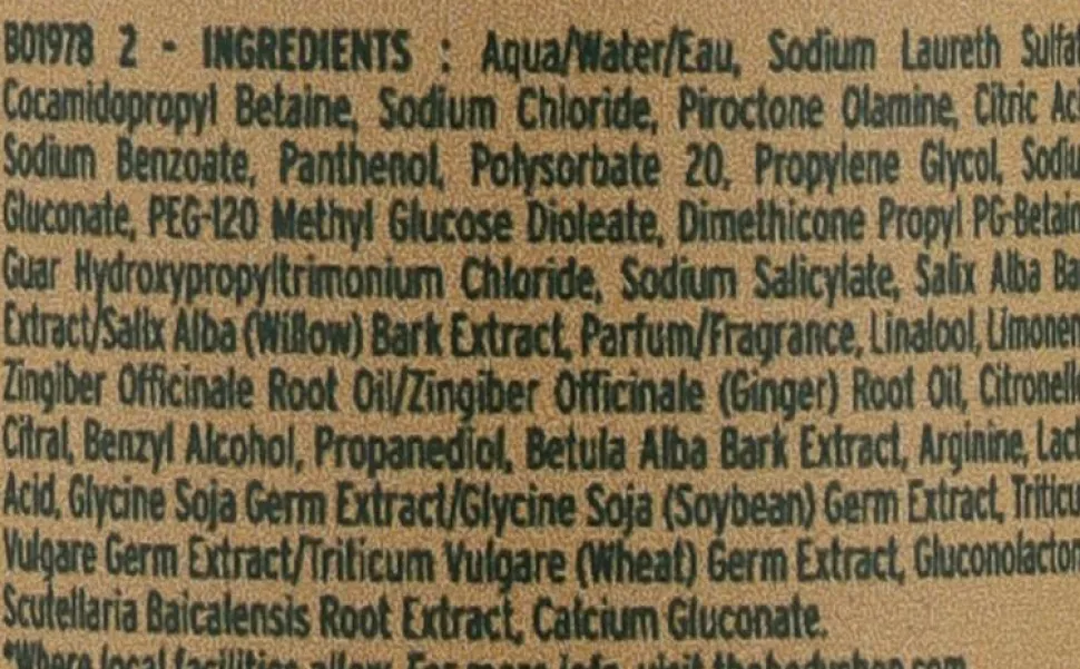 Anti-Schuppen Shampoo mit Ingwer- und Seidenproteinen für trockene und schuppige Kopfhaut