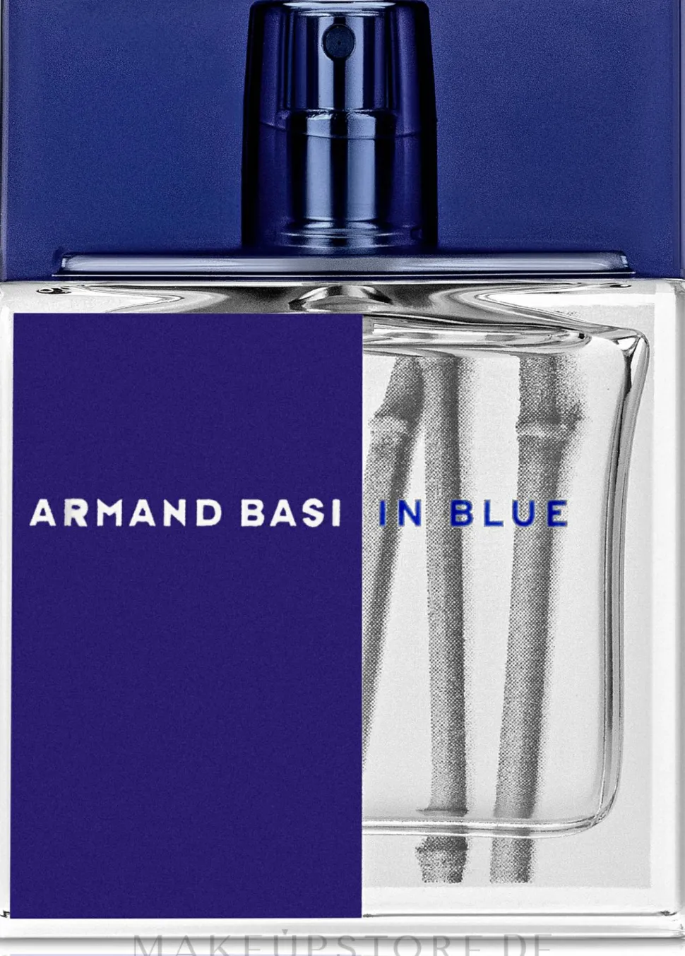 Armand Basi In Blue