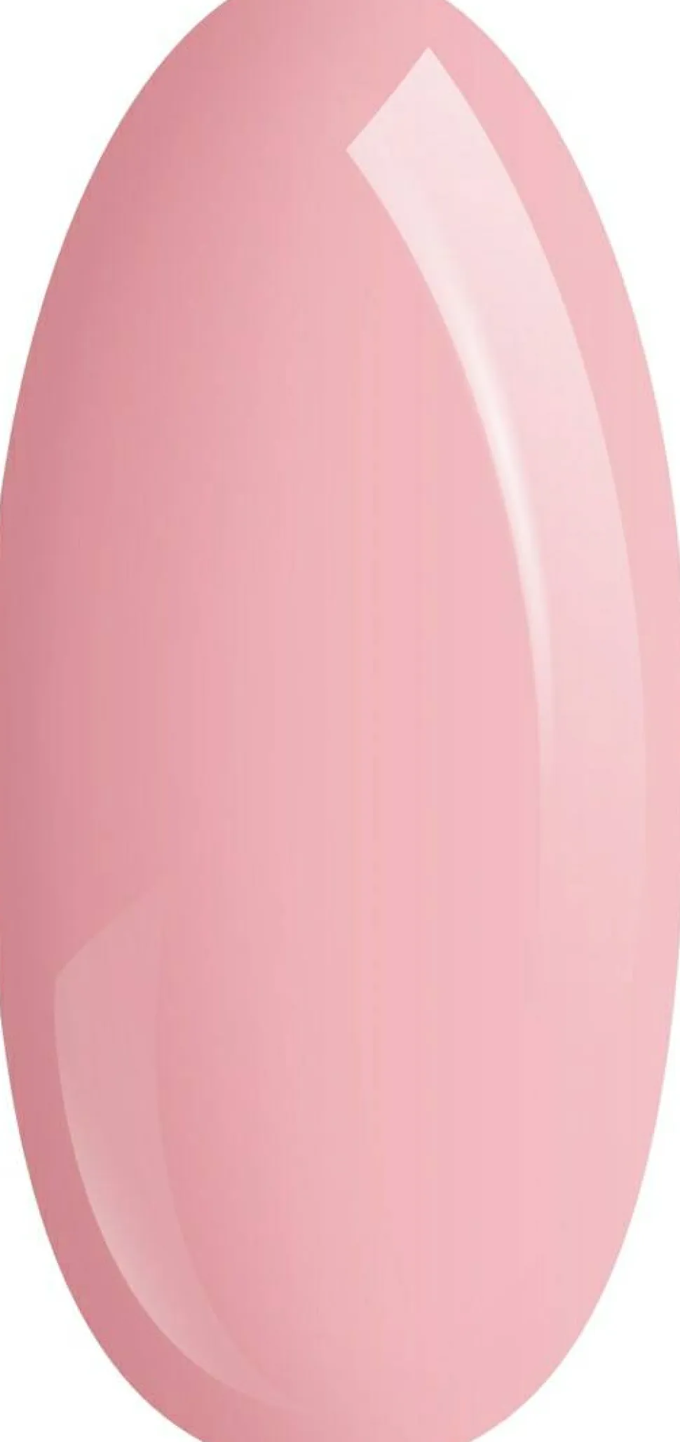 Basis für Gel-Nagellack