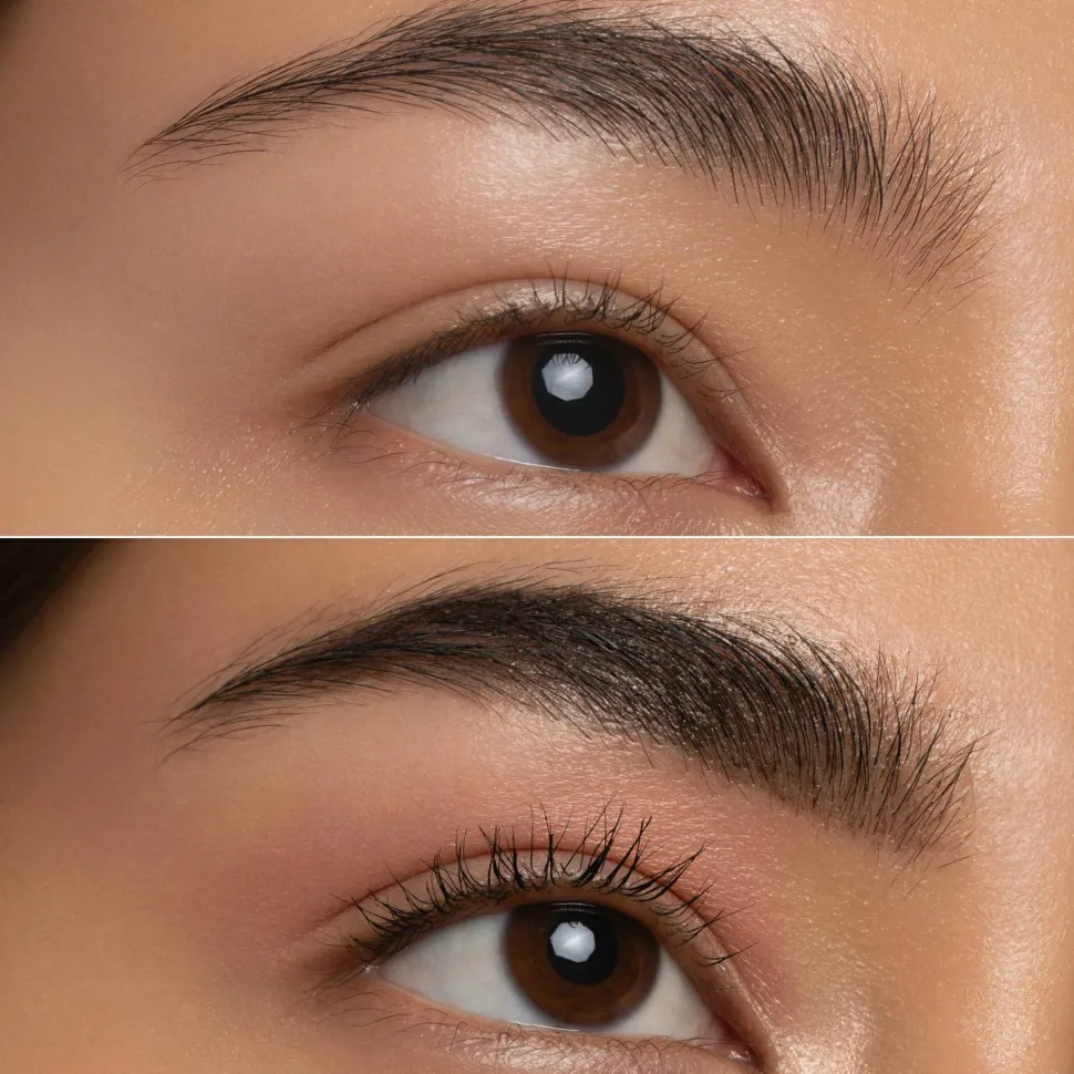 Catrice All In One Brow Perfector