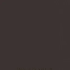 Colour Intense Profi Touch Eyebrow