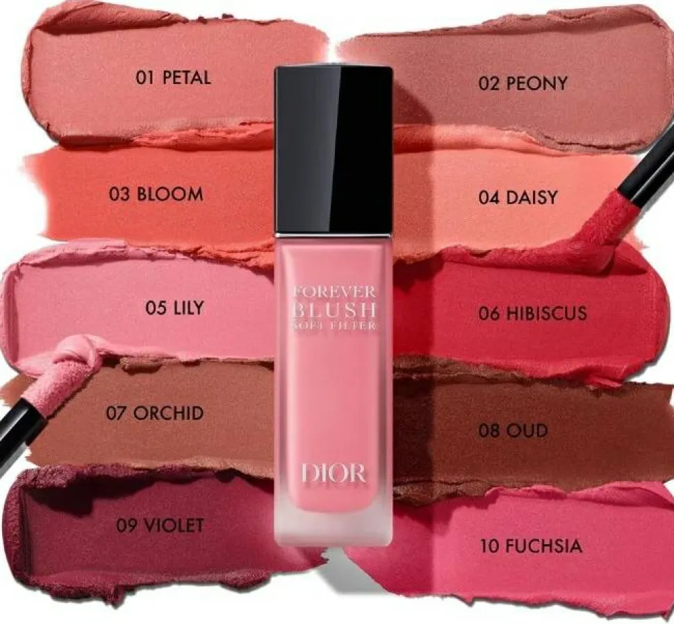 Dior Forever Blush Soft Filter