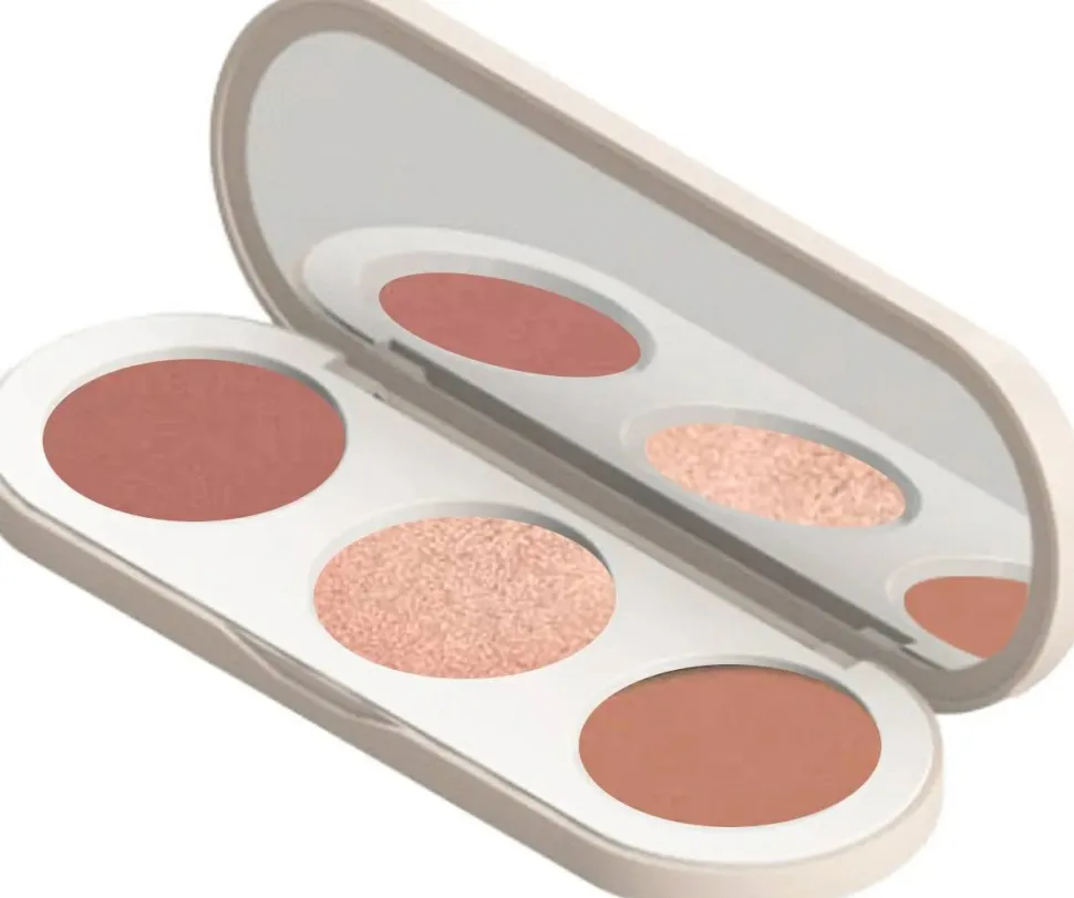 Farmasi All In One Palette Medium To Deep