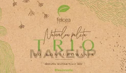 Felicea Natural Trio Palette