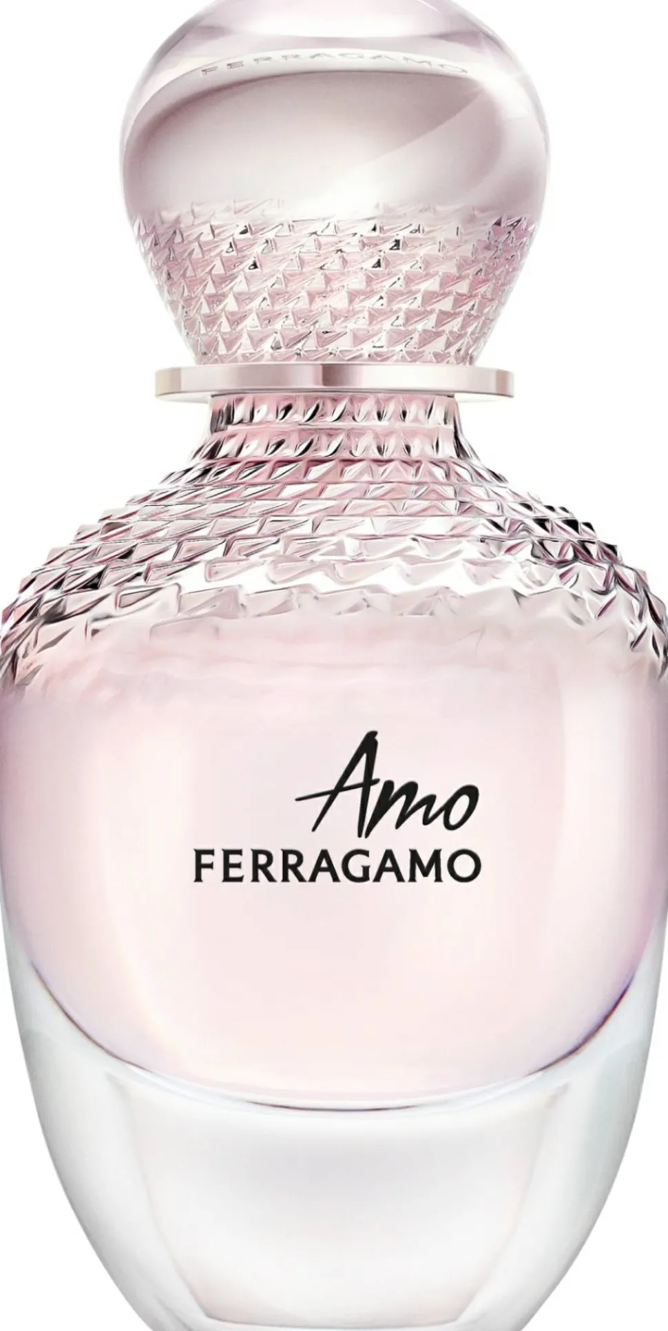 Ferragamo Amo Ferragamo