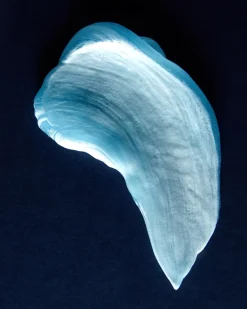 Feuchtigkeitsspendendes Rasiergel
