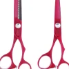 Friseurscheren-Set im Etui, 2 Stk.