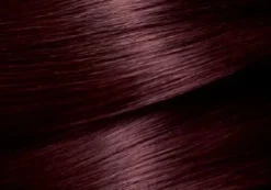 Garnier Color Naturals