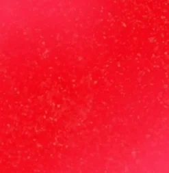 Gel-Nagellack mit Intelli-Gel-Technologie