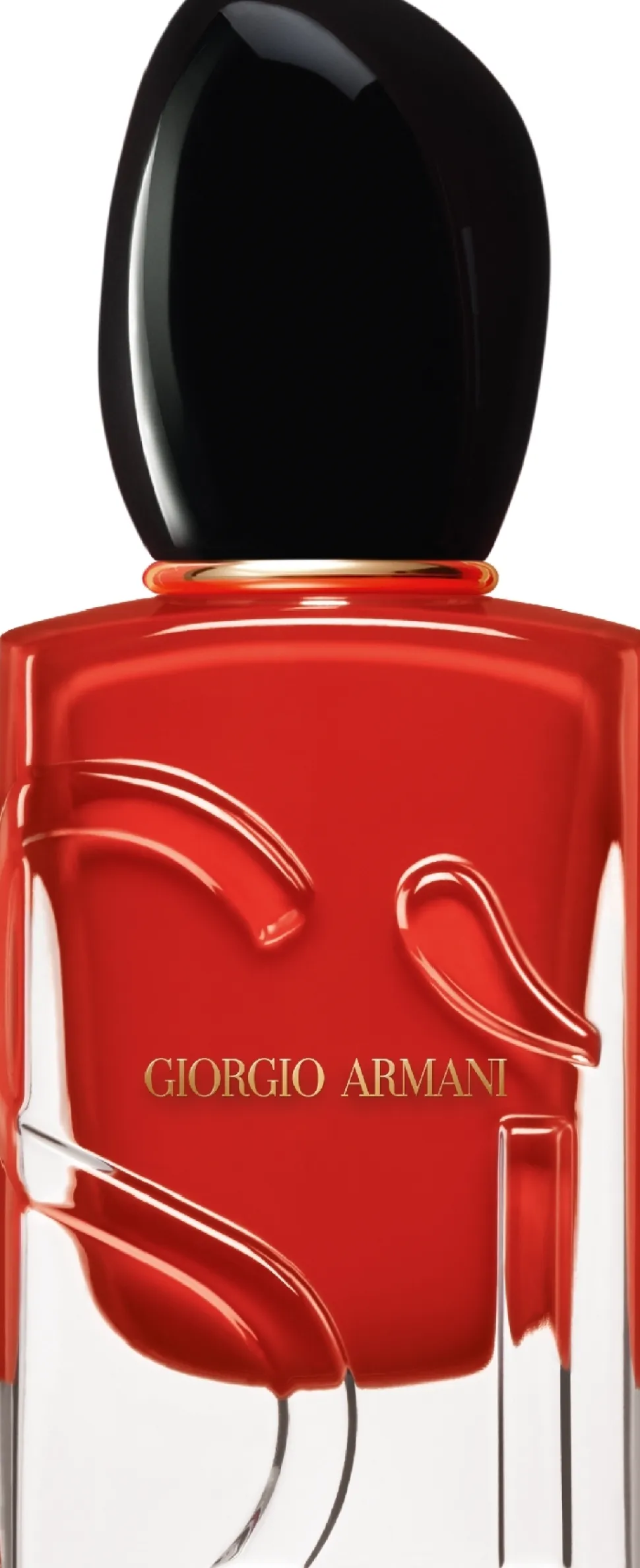Giorgio Armani Si Passione