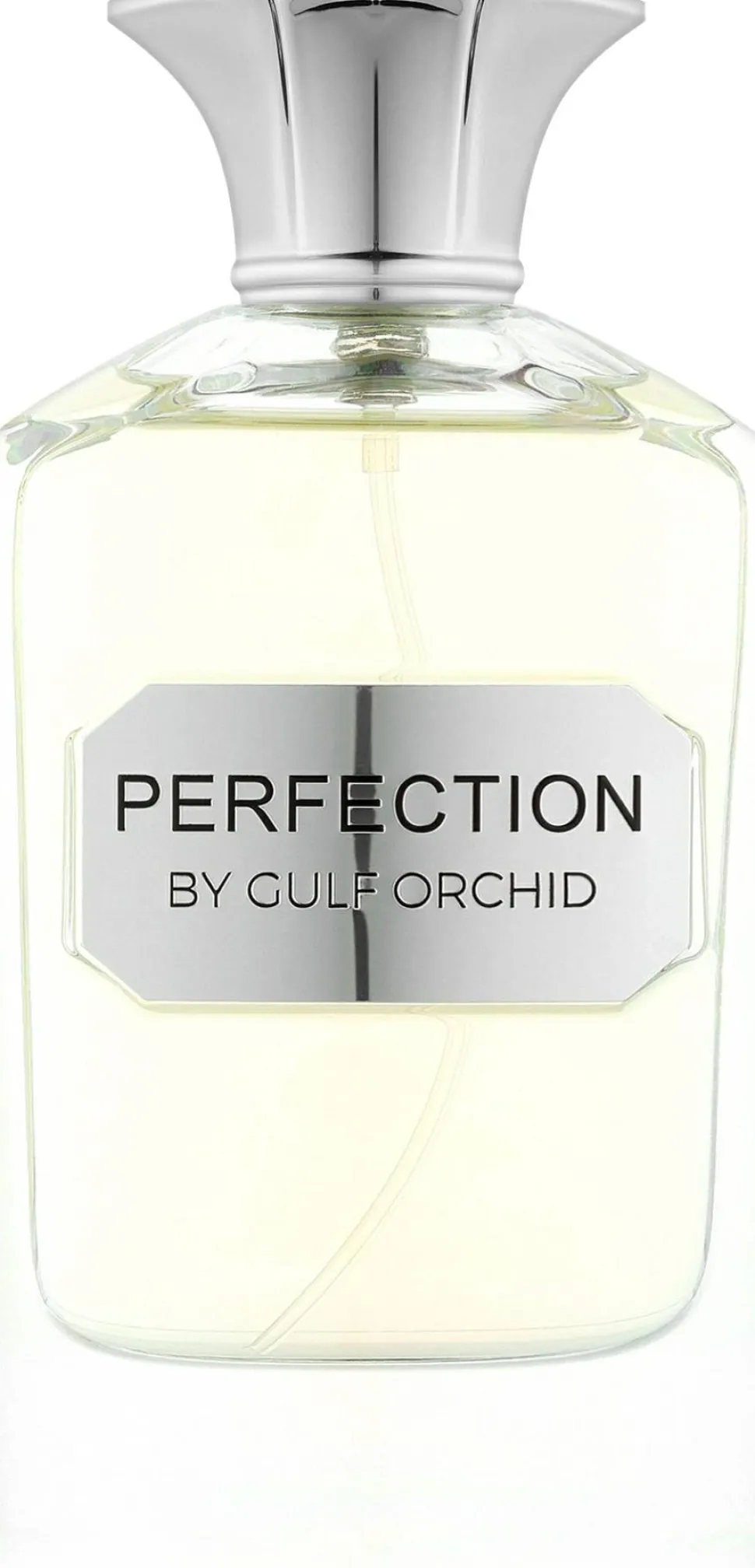 Gulf Orchid Perfection