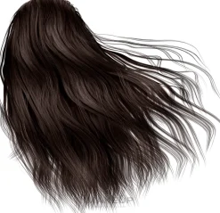 Haarfarbe mit Arganöl