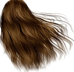 Haarfarbe mit Arganöl