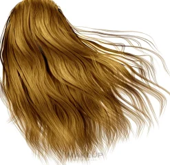 Haarfarbe mit Arganöl