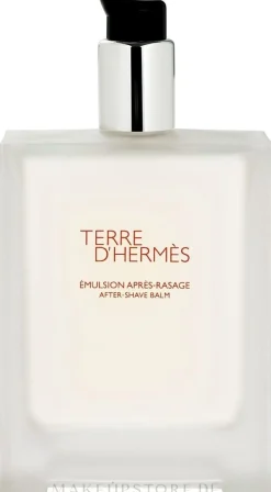 Hermes Terre dHermes
