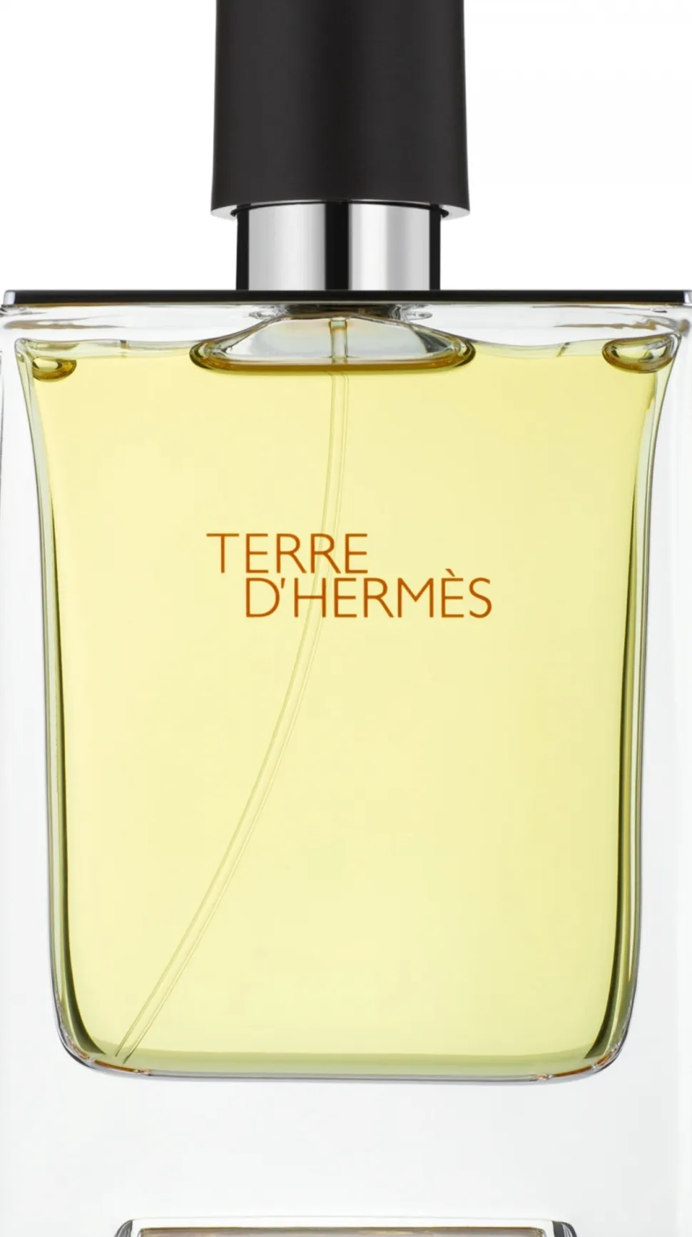 Hermes Terre D'Hermes