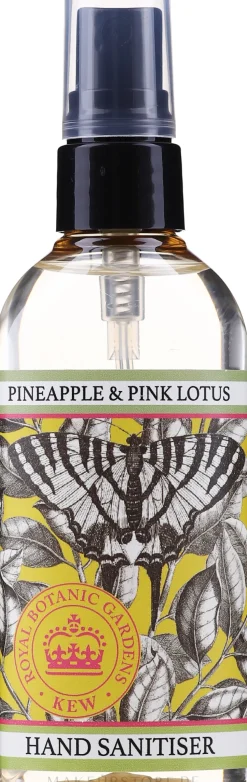 Händedesinfektionsmittel mit Ananas und rosa Lotus