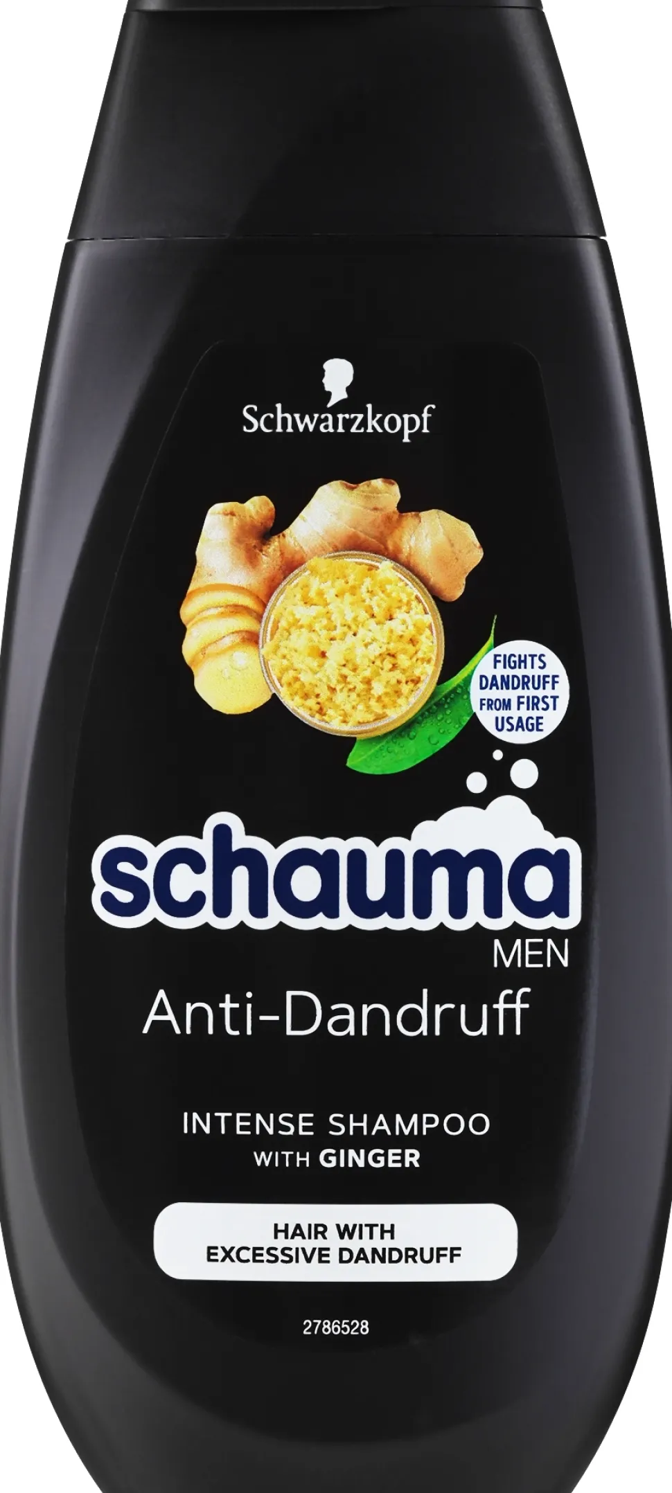 Intensives Anti-Shuppen Shampoo für Männer mit Ingwer