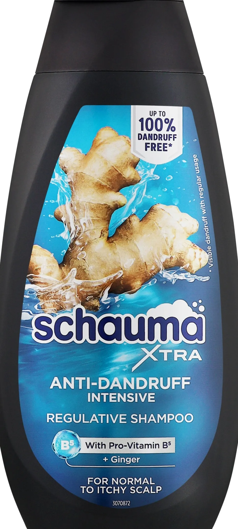 Intensives Anti-Shuppen Shampoo für Männer mit Ingwer