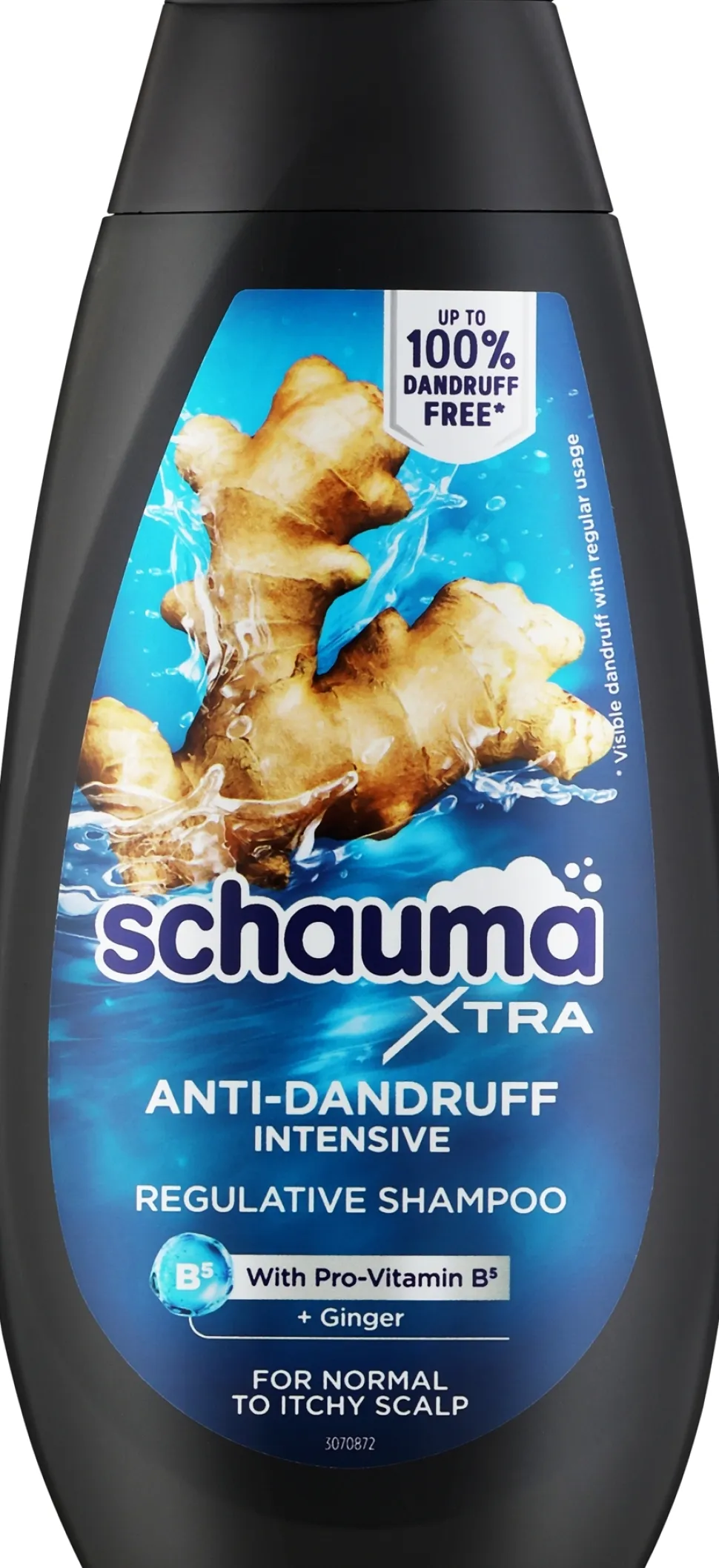 Intensives Anti-Shuppen Shampoo für Männer mit Ingwer