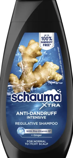 Intensives Anti-Shuppen Shampoo für Männer mit Ingwer