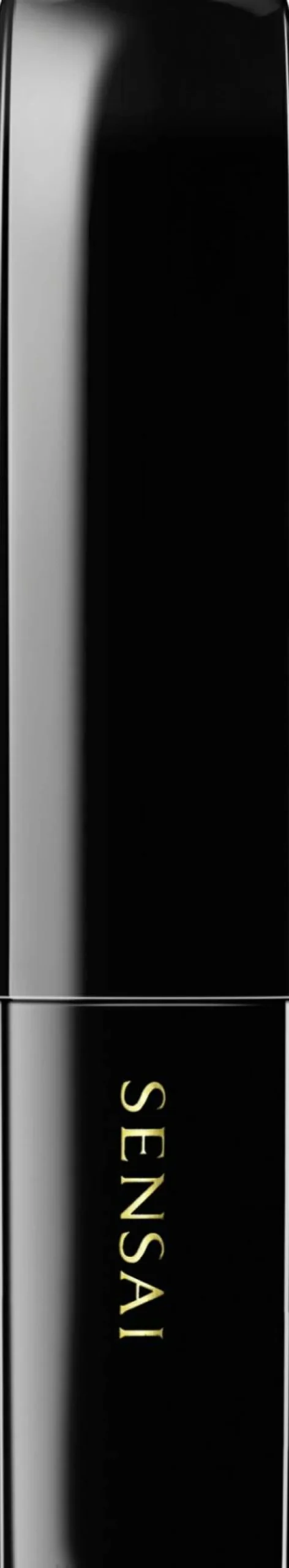 Lippenstift-Etui