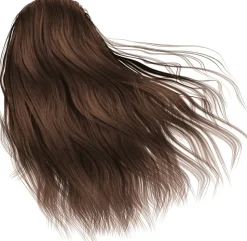 L'Oreal Paris Excellence