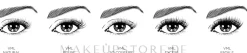L'Oreal Paris Volume Million Lashes Extra-Black