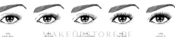 L'Oreal Paris Volume Million Lashes Waterproof