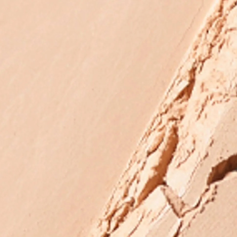 MAC Studio Fix Powder Plus Foundation