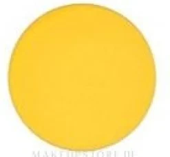 MAC Eye Shadow Pro Palette Refill Pan