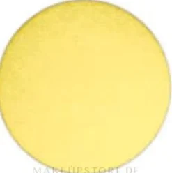 MAC Eye Shadow Pro Palette Refill Pan