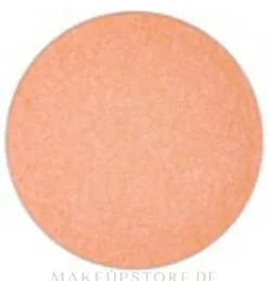 MAC Eye Shadow Pro Palette Refill Pan