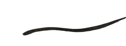 Makeup Revolution Renaissance Flick Eyeliner