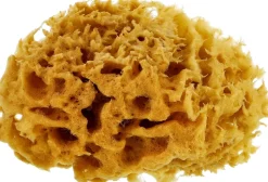 Meeresschwamm für den Körper 10 cm