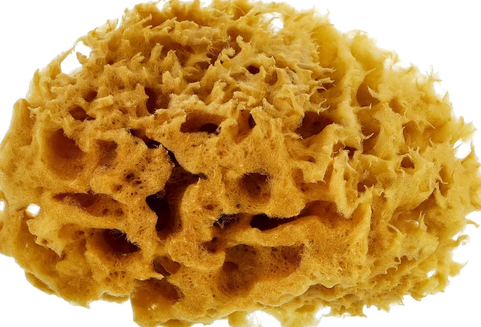 Meeresschwamm für den Körper 10 cm