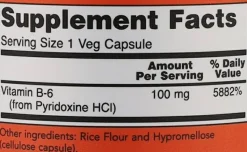 Nahrungsergänzungsmittel Vitamin B-6 100 mg