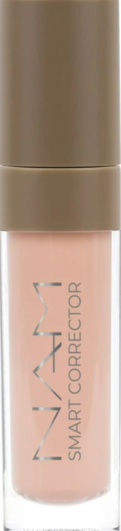 NAM Smart Corrector