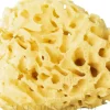 Natürlicher Badeschwamm gelb 12,5 cm
