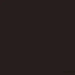 Nikk Mole Ekko Beauty Eyebrow Henna