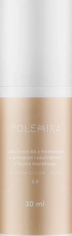 Polemika