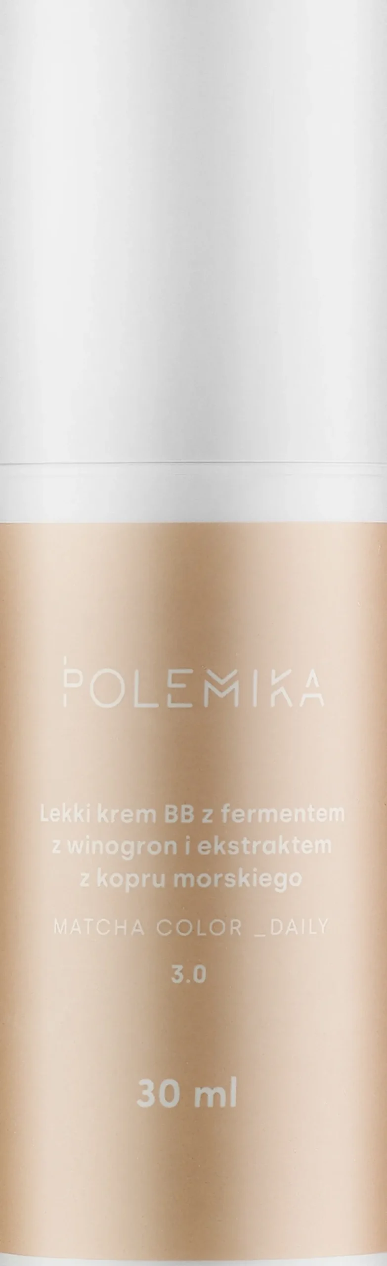 Polemika