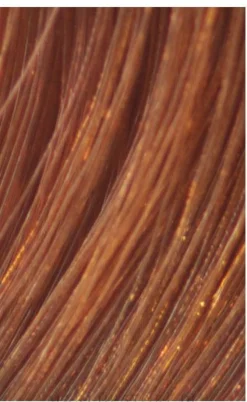 Professionelle und permanente Haarfarbe