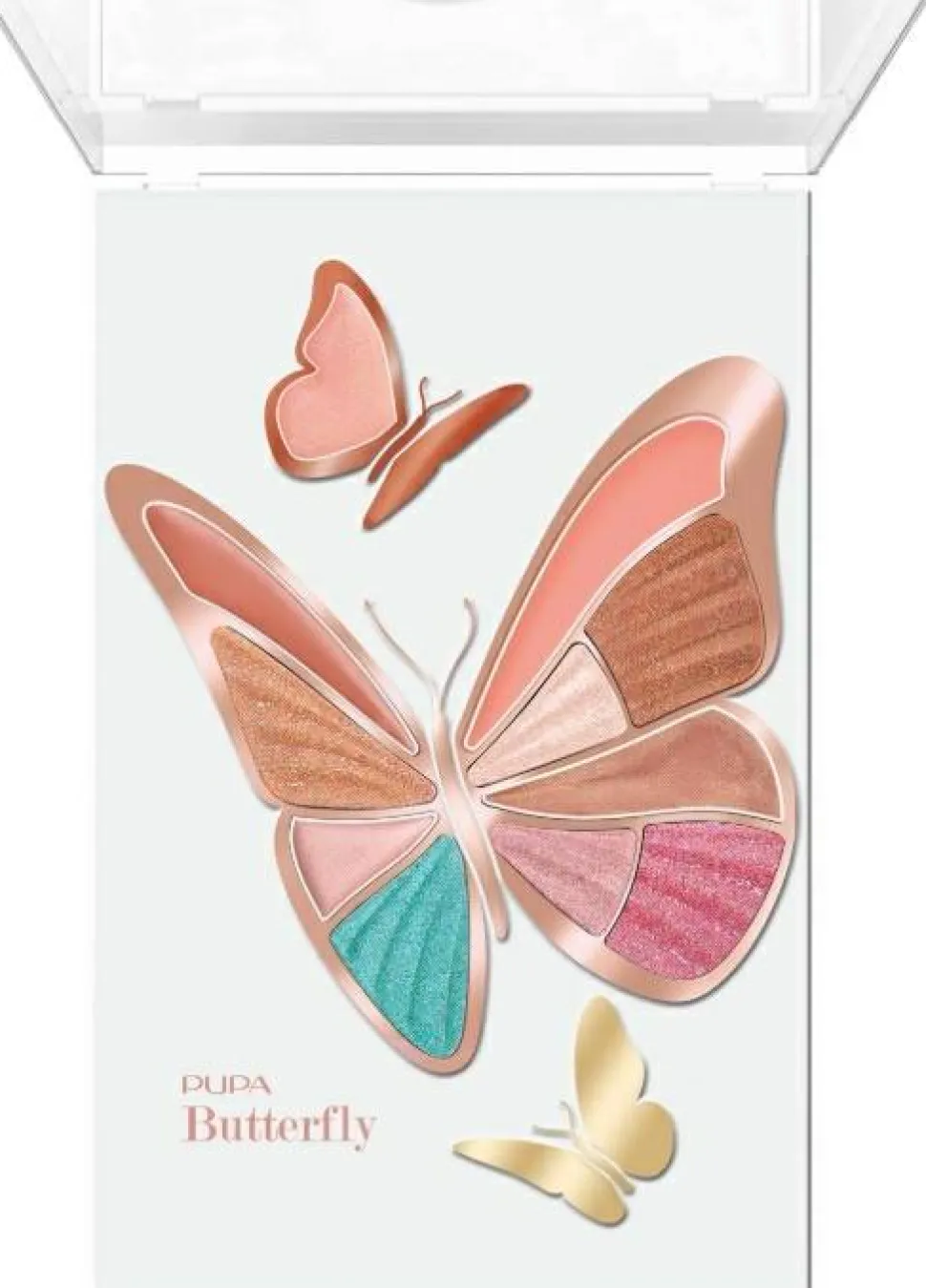 Pupa Butterfly