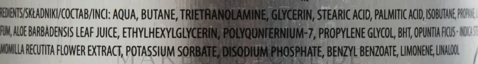 Rasierschaum Opuntien und Aloe