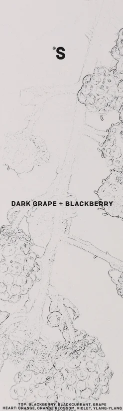 Raumerfrischer Dunkle Trauben und Brombeeren
