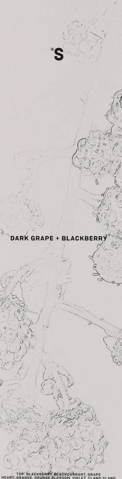 Raumerfrischer Dunkle Trauben und Brombeeren