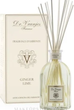 Raumerfrischer Ginger Lime
